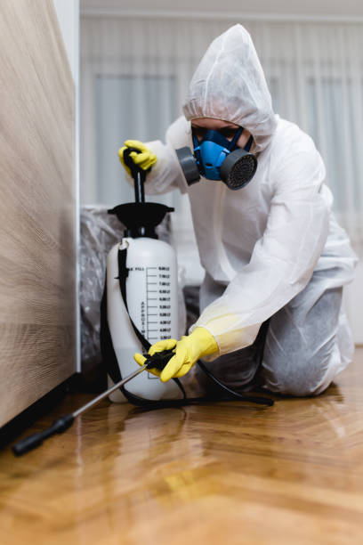 Best Bed Bug Extermination  in Fleetwood, PA